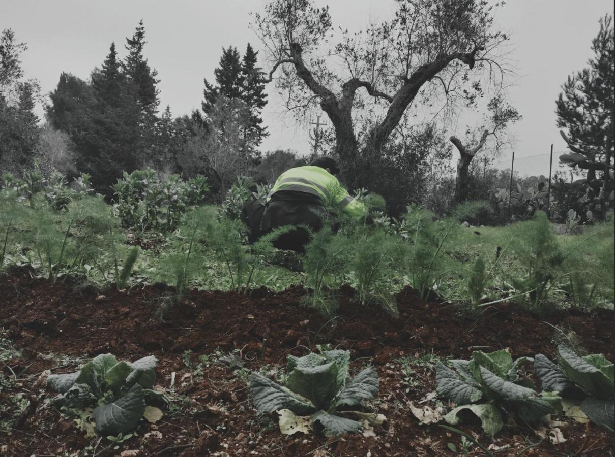 Salento Home Farm Bagnolo del Salento Kültér fotó
